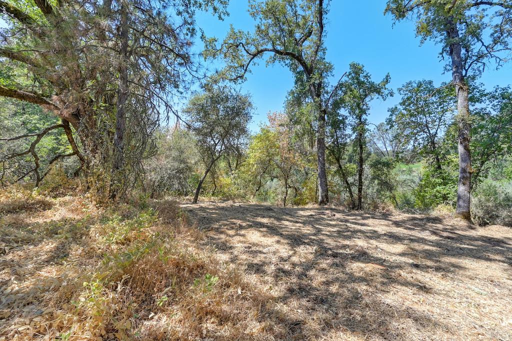 0 Browns Road Placerville, CA 95667 - Photo 10 of 42