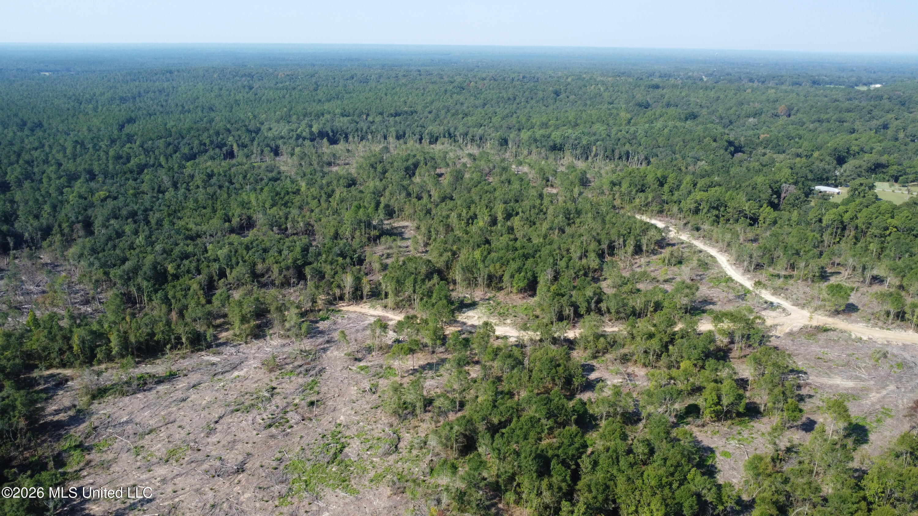 156.3 Acres Beesley Road Lucedale, MS 39452 - Photo 27 of 30 DJI_0485