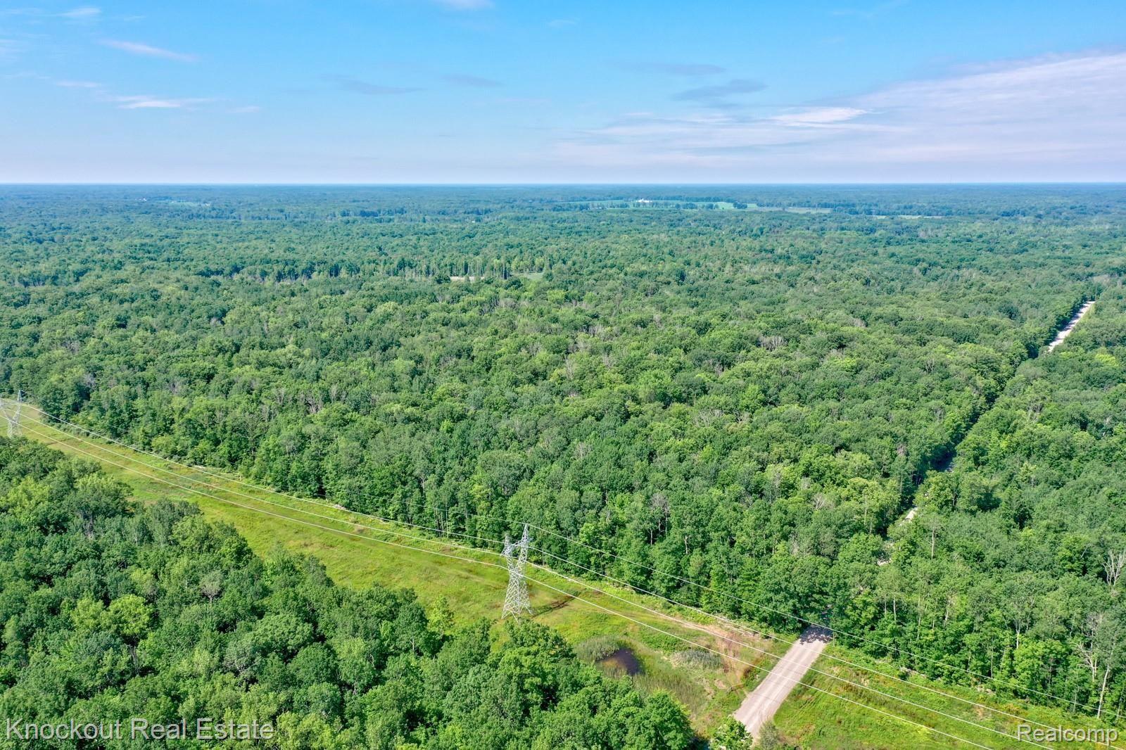 1000 West Kitchen Road Rhodes, MI 48652 - Photo 5 of 34 Kitchen Lots Bay County-2.jpg