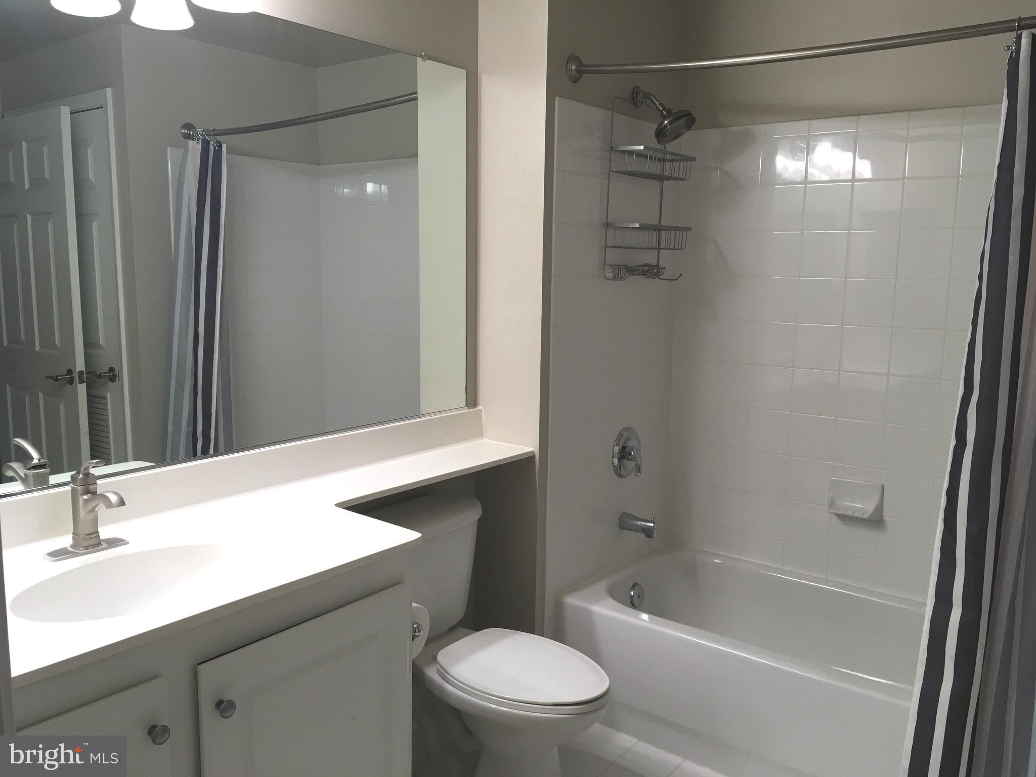 11710 Old Georgetown Road, Unit 121 Rockville, MD 20852 - Photo 17 of 95 Full Bath