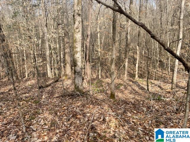 0 County Road 158, Unit 1 Lafayette, AL 36862 - Photo 14 of 19