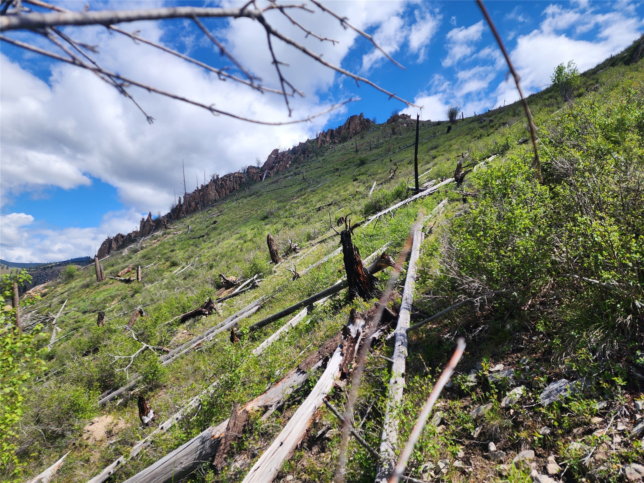 Nhn Blind Creek Draw Road Conner, MT 59827 - Photo 10 of 27 Gallery Image 10