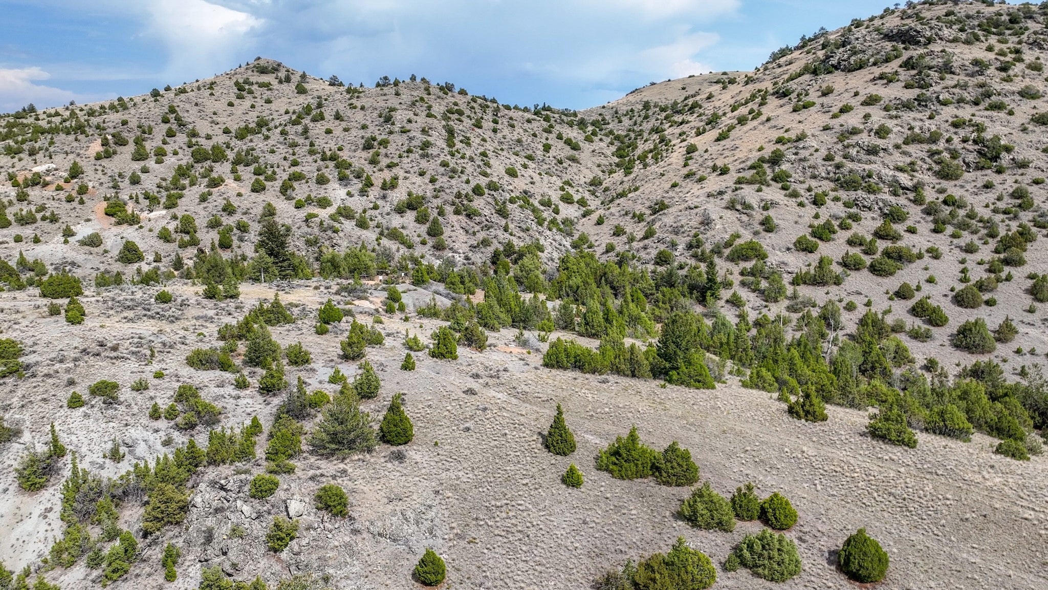 Tbd Tbd Johnny Gulch Road Toston, MT 59643 - Photo 10 of 48 Gallery Image 10