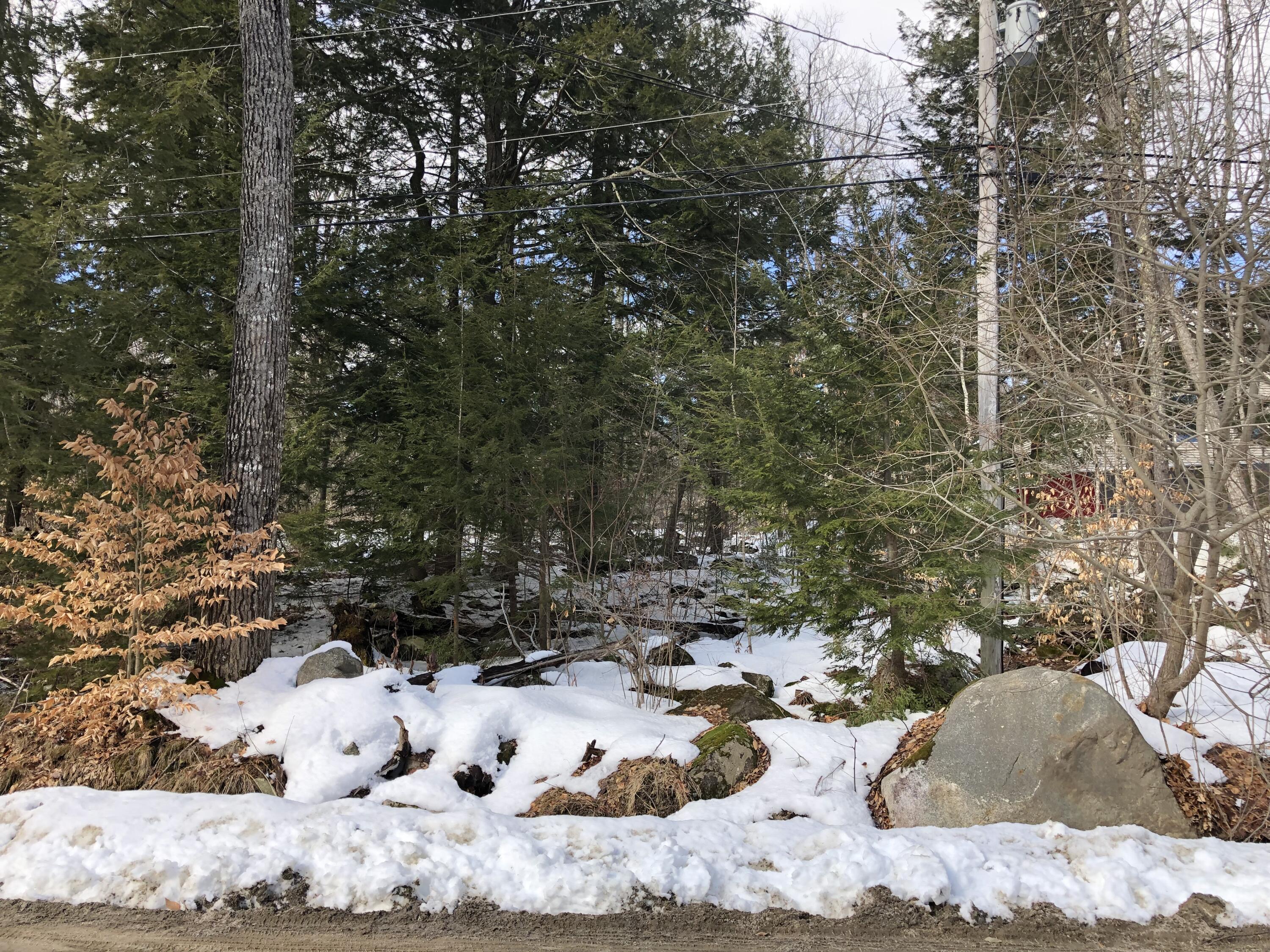 Lot 11 Anderson Road Sebago, ME 04029 - Photo 2 of 10 Lot 11