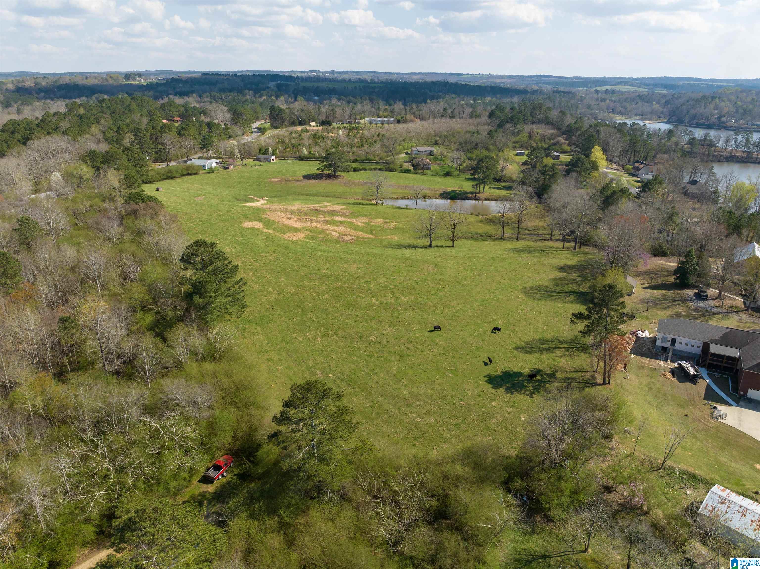 401 Lakeshore Lane Oneonta, AL 35121 - Photo 23 of 24