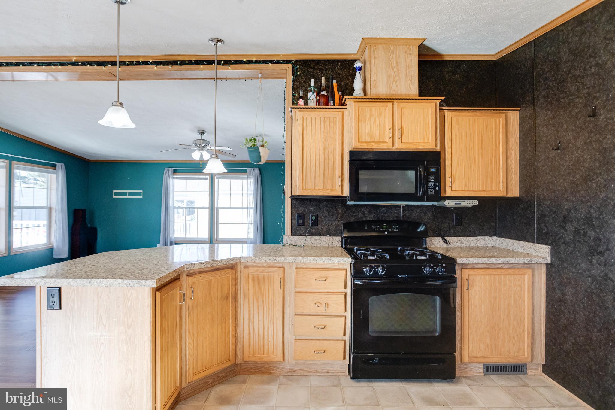 488 North Patuxent Road, Unit 18A Odenton, MD 21113 - Photo 14 of 34 a kitchen with a stove and a microwave