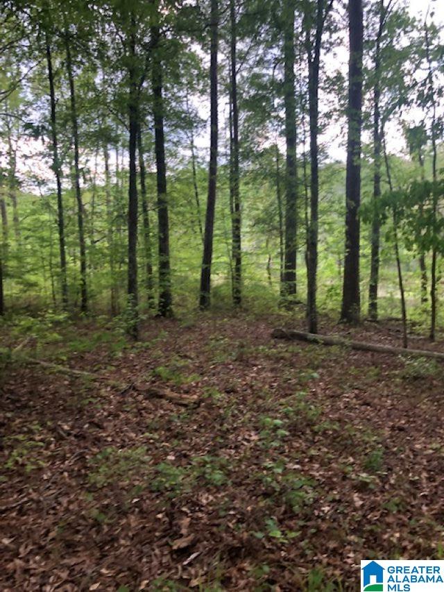 244 County Road, Unit 9 Woodland, AL 36280 - Photo 5 of 5