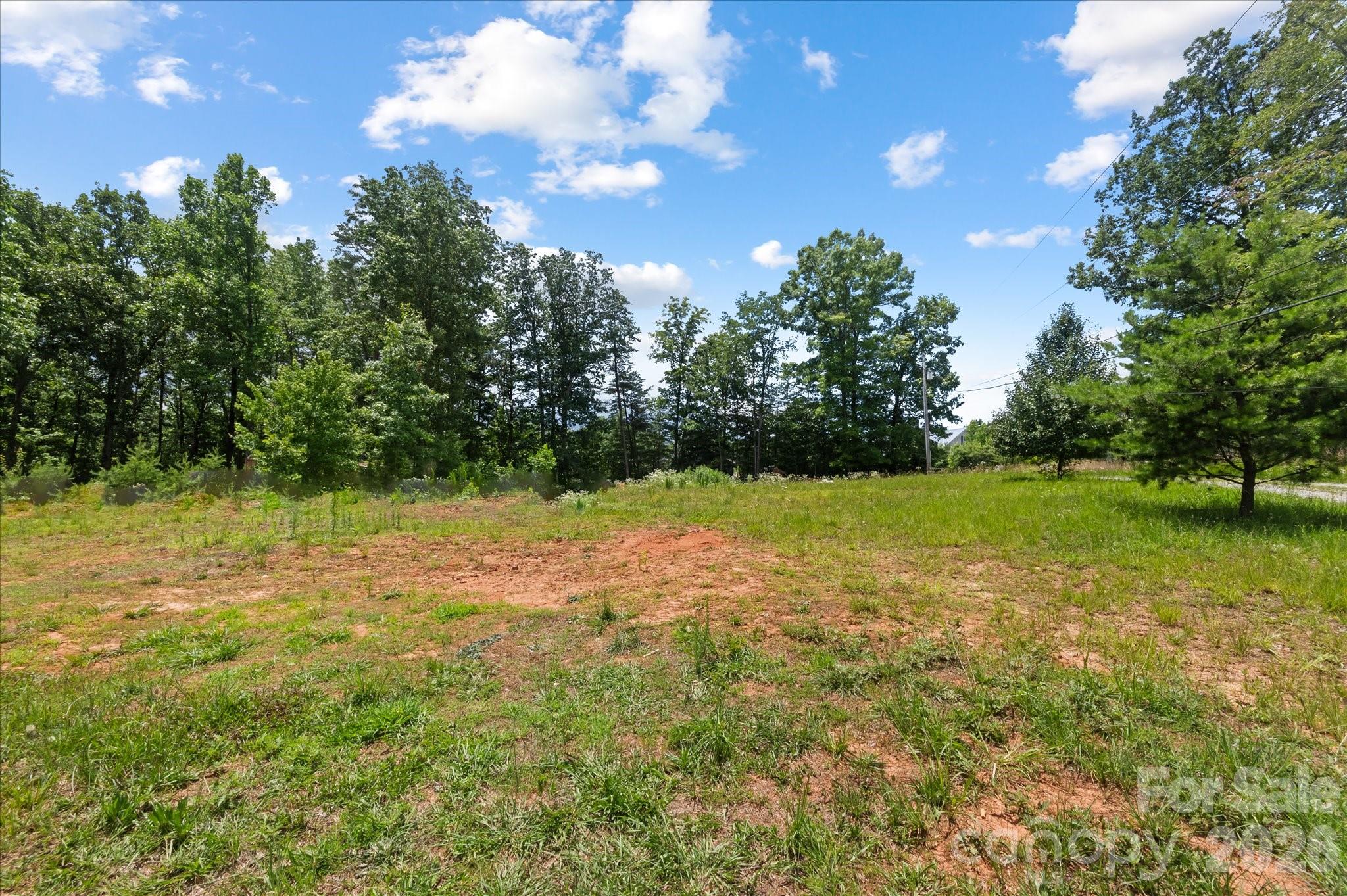 1223 Deer Park Road Nebo, NC 28761 - Photo 4 of 35