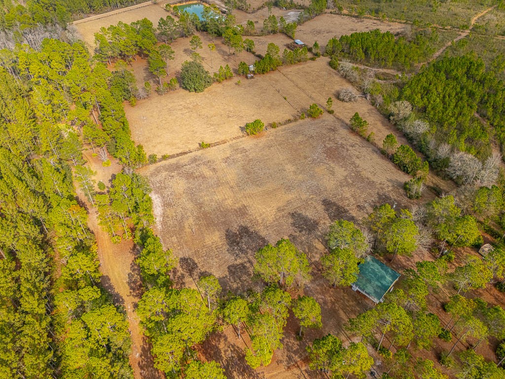 1473 Chesser Lane Nahunta, GA 31553 - Photo 2 of 50