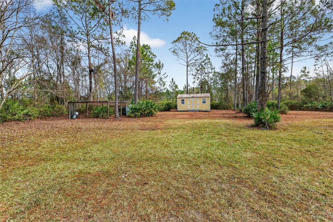 1473 Chesser Lane Nahunta, GA 31553 - Photo 28 of 50