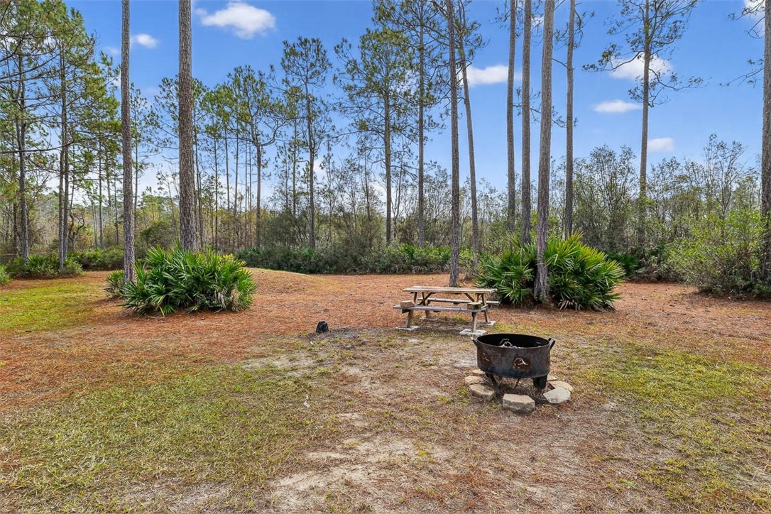 1473 Chesser Lane Nahunta, GA 31553 - Photo 31 of 50