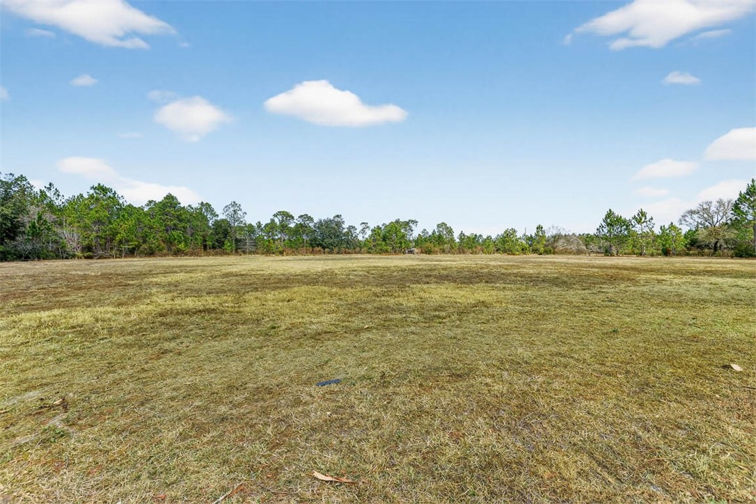 1473 Chesser Lane Nahunta, GA 31553 - Photo 32 of 50