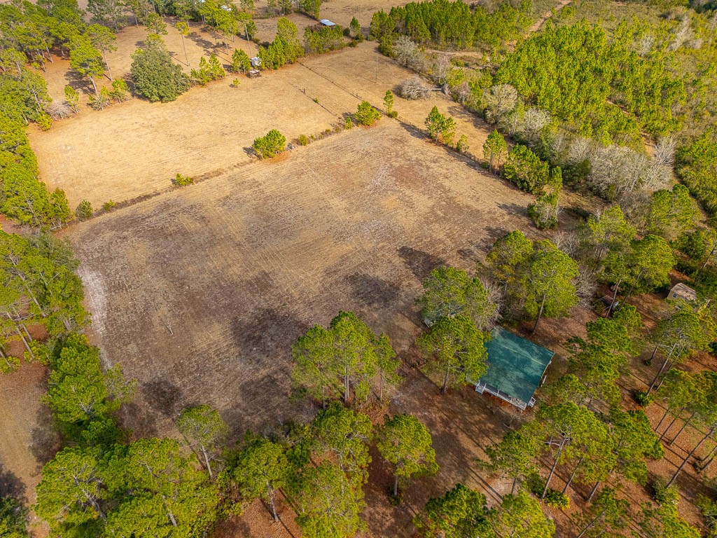 1473 Chesser Lane Nahunta, GA 31553 - Photo 39 of 50