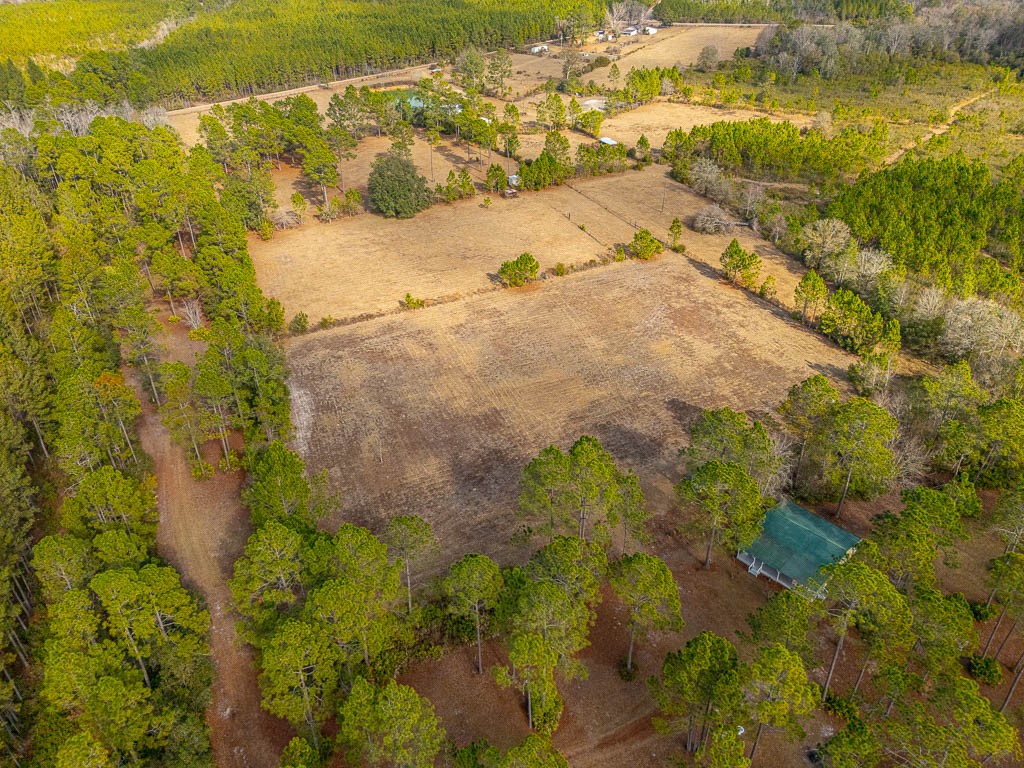 1473 Chesser Lane Nahunta, GA 31553 - Photo 40 of 50