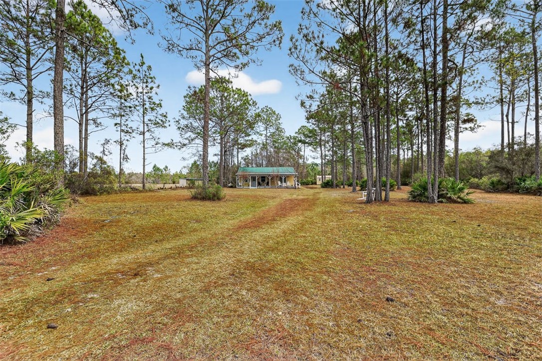 1473 Chesser Lane Nahunta, GA 31553 - Photo 4 of 50