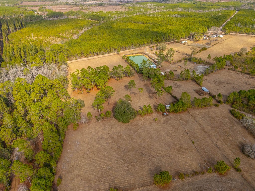 1473 Chesser Lane Nahunta, GA 31553 - Photo 42 of 50