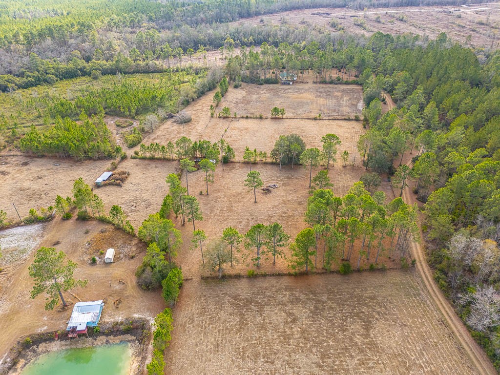 1473 Chesser Lane Nahunta, GA 31553 - Photo 43 of 50