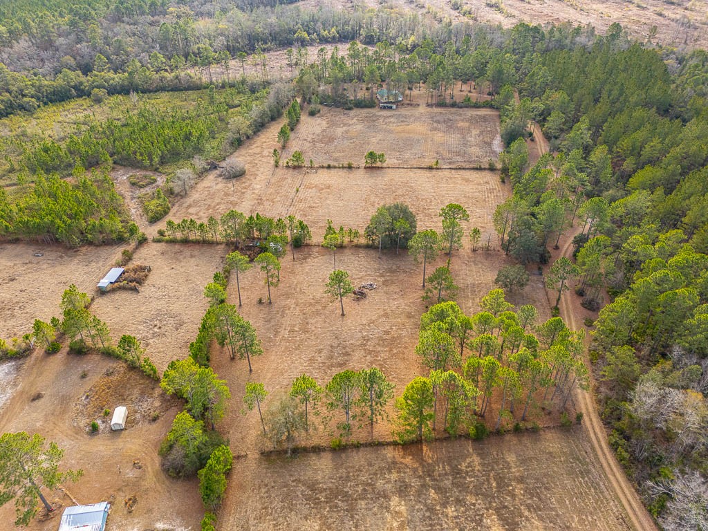 1473 Chesser Lane Nahunta, GA 31553 - Photo 44 of 50