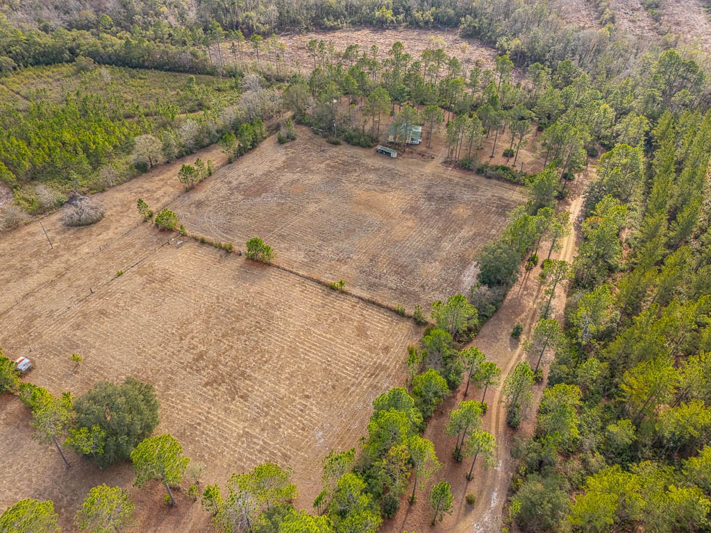 1473 Chesser Lane Nahunta, GA 31553 - Photo 45 of 50