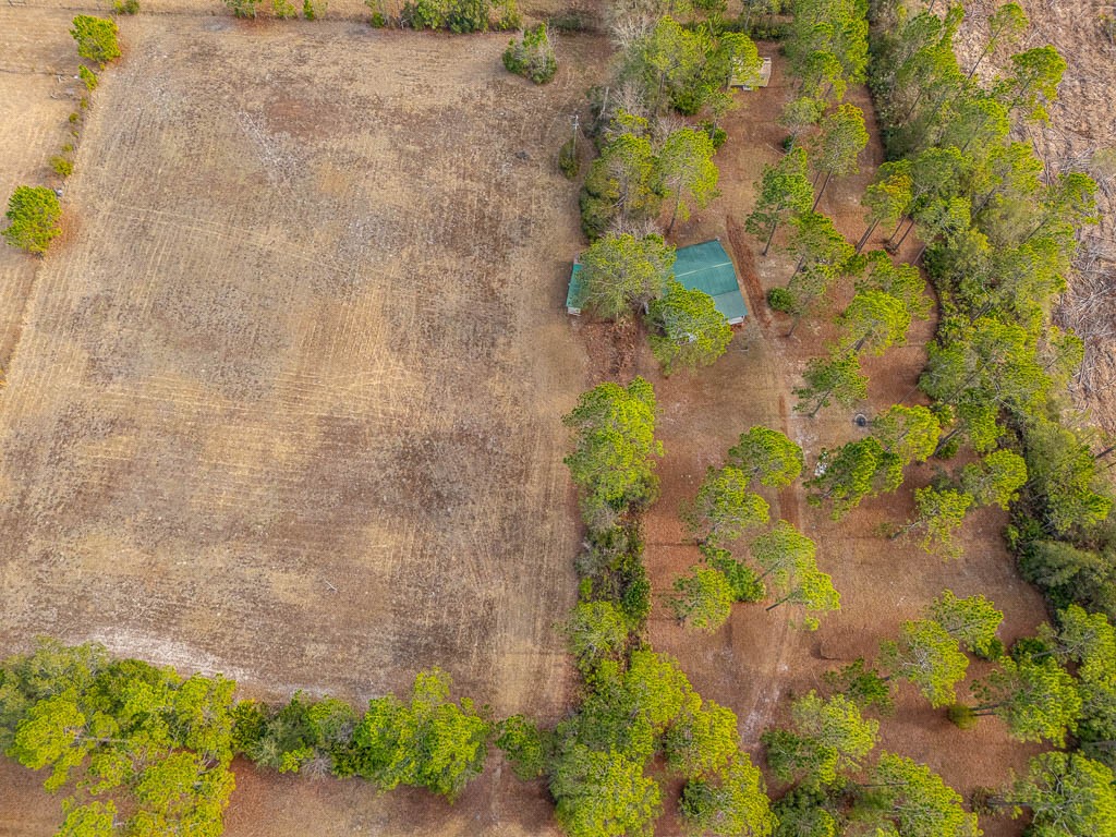 1473 Chesser Lane Nahunta, GA 31553 - Photo 48 of 50