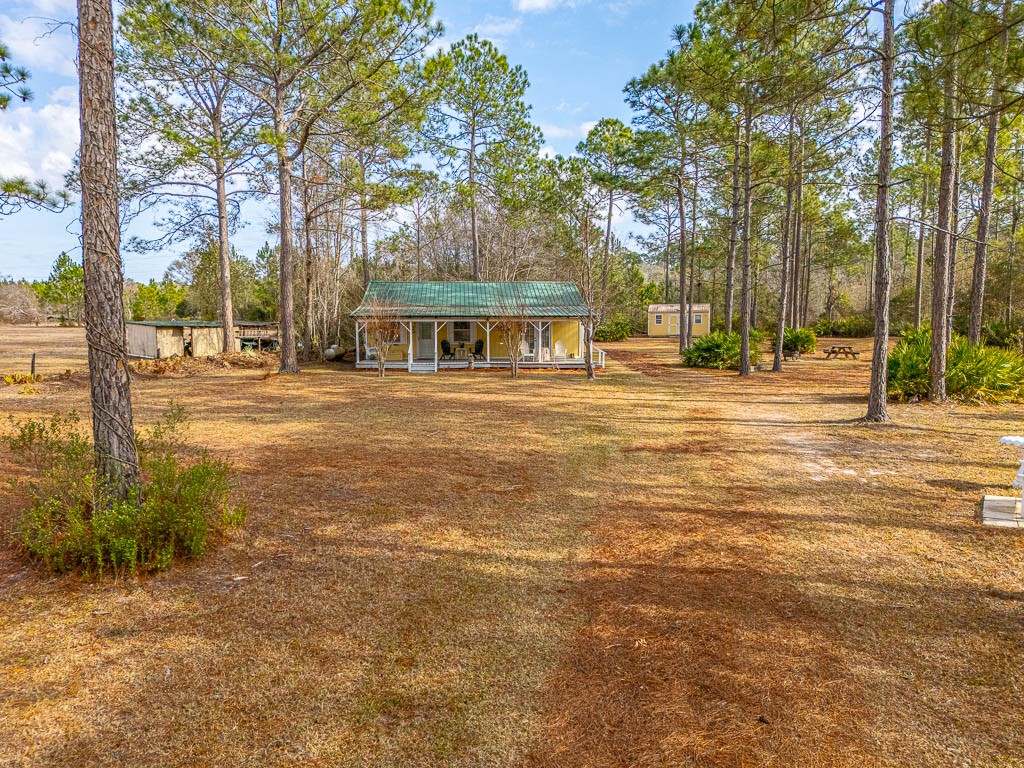 1473 Chesser Lane Nahunta, GA 31553 - Photo 50 of 50