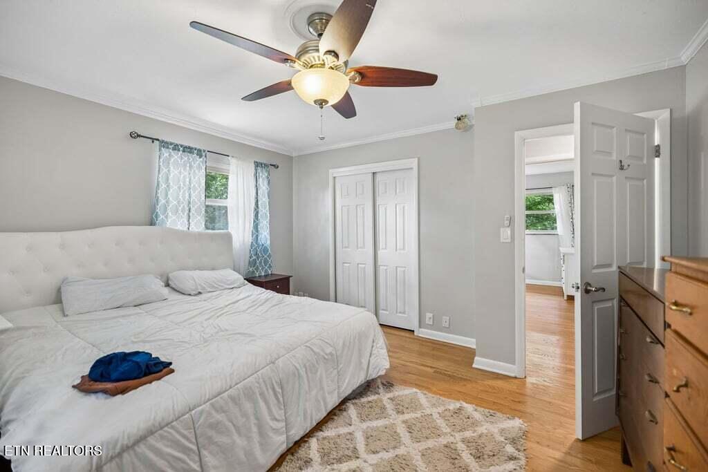 103 Morgan Road Oak Ridge, TN 37830 - Photo 23 of 54 19-103 Morgan Rd - 019