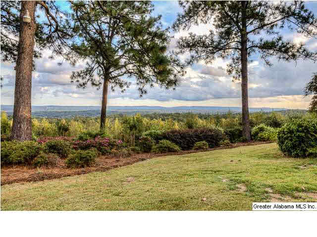 4601 Dolly Ridge Road Birmingham, AL 35243 - Photo 9 of 27