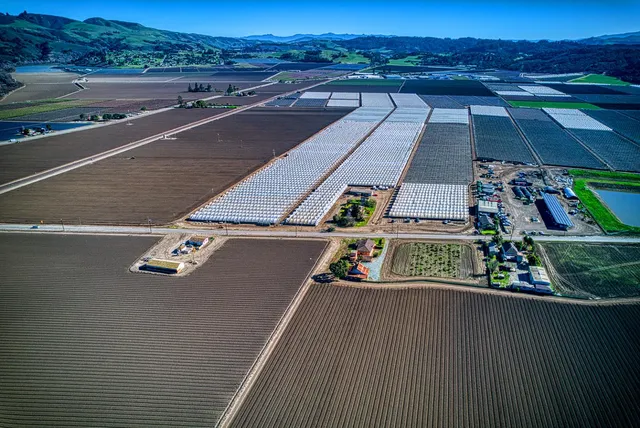 an aerial view of a house with a garden and lake view