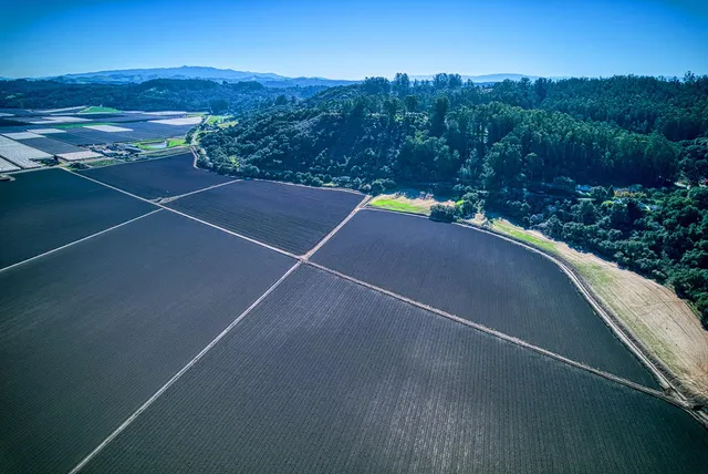 a view of a tennis court
