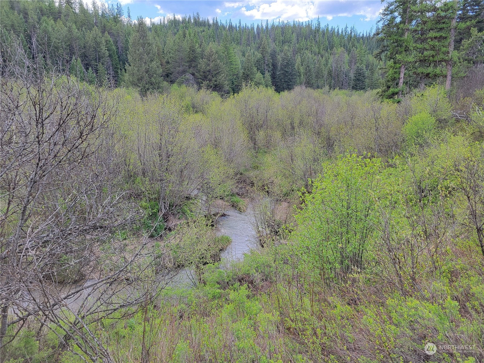 5099 M Allen Road Springdale, WA 99173 - Photo 13 of 38 a view of a lush green forest with a lake
