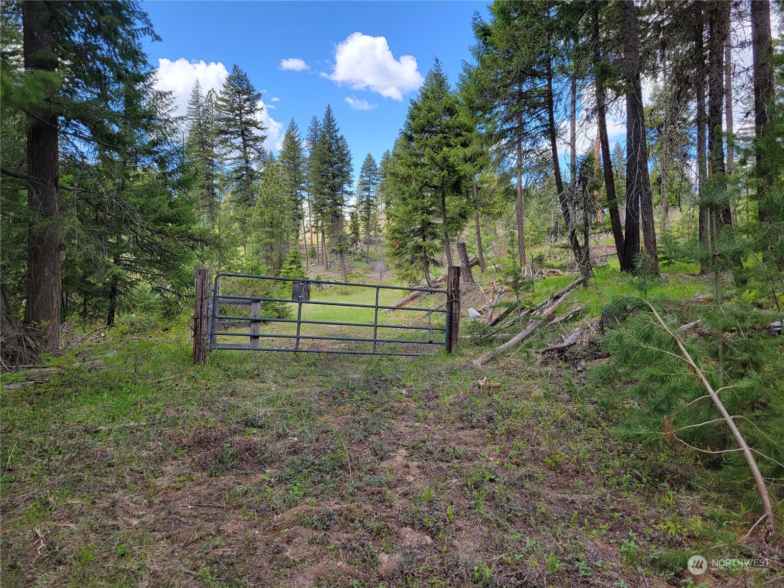 5099 M Allen Road Springdale, WA 99173 - Photo 15 of 38 a view of park