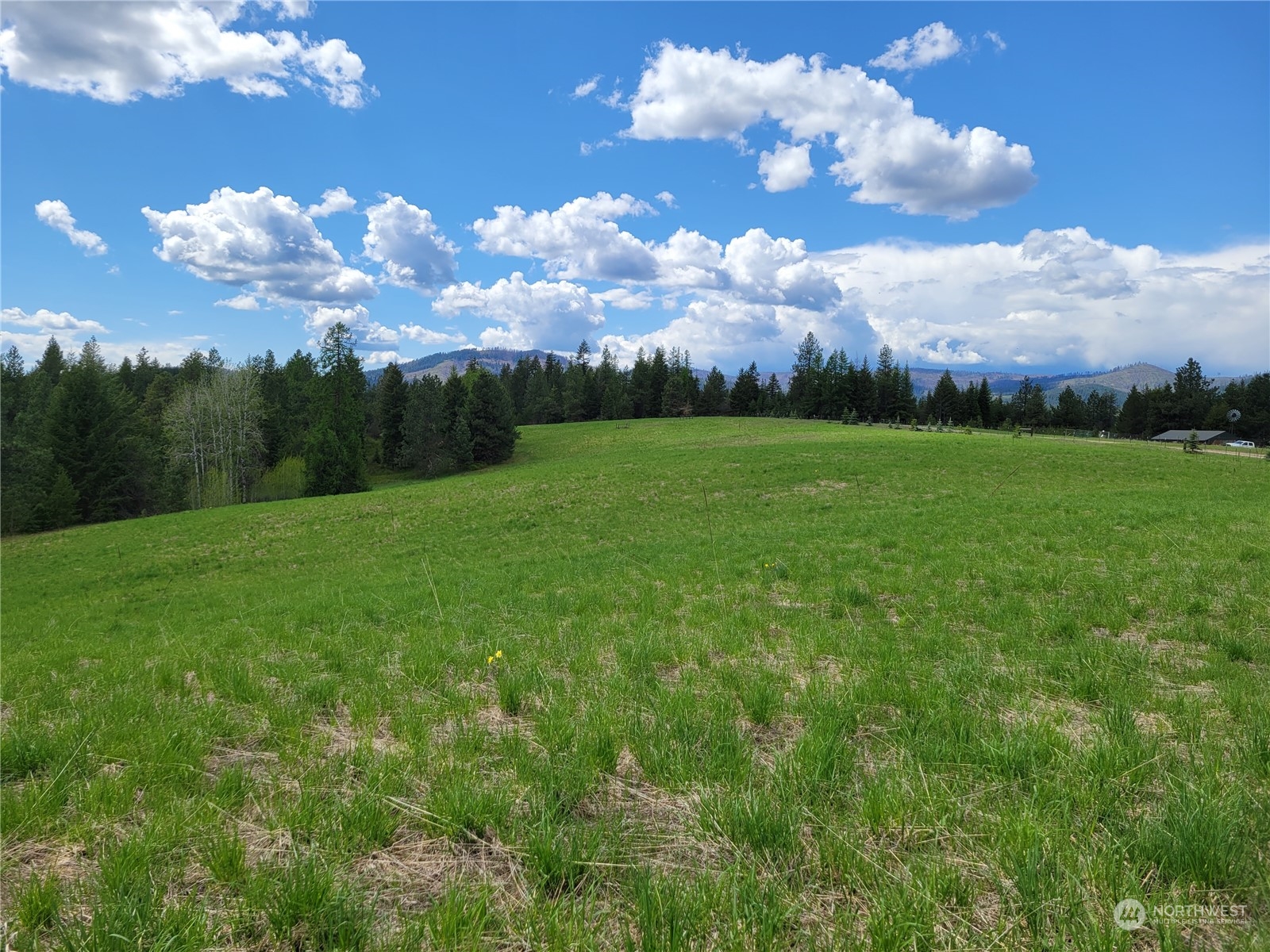 5099 M Allen Road Springdale, WA 99173 - Photo 21 of 38 a view of a city