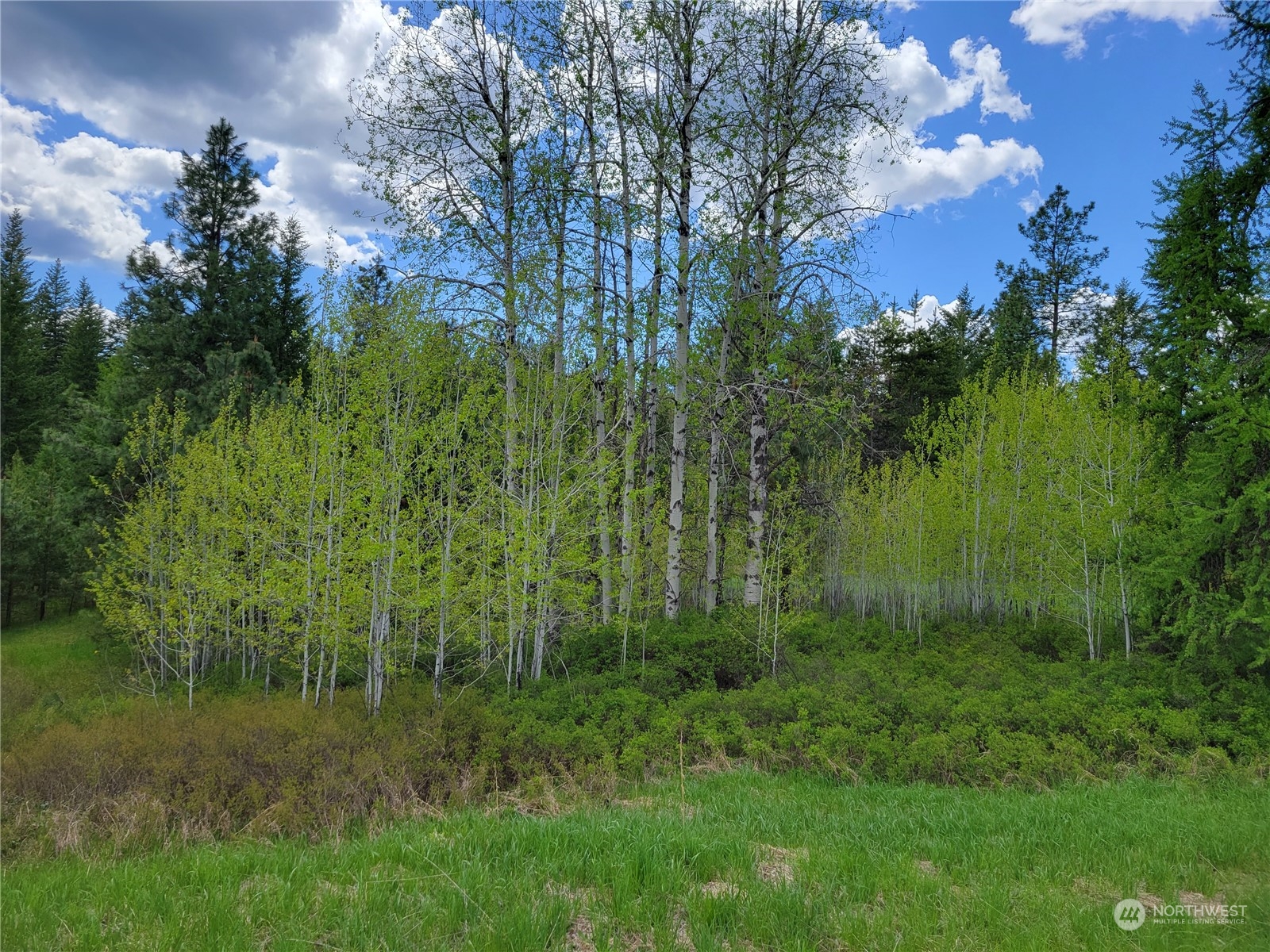 5099 M Allen Road Springdale, WA 99173 - Photo 22 of 38 a view of a garden