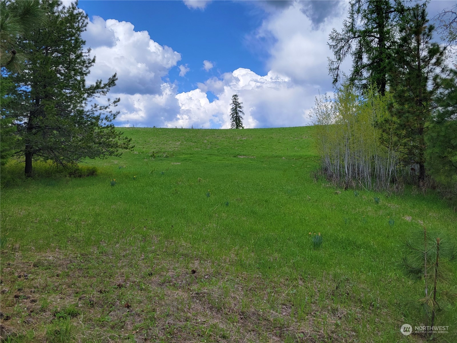 5099 M Allen Road Springdale, WA 99173 - Photo 23 of 38 a backyard of a house with lots of green space