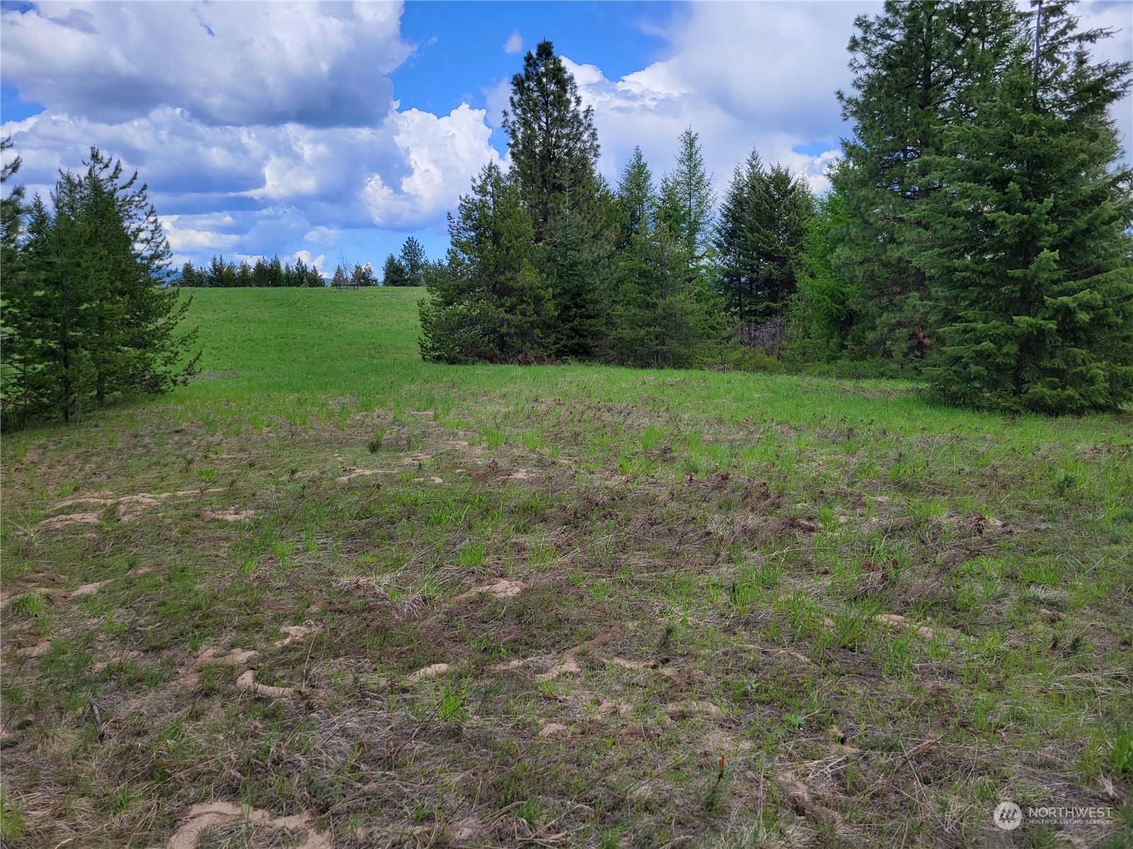5099 M Allen Road Springdale, WA 99173 - Photo 25 of 38 a view of a big yard with a house in the background
