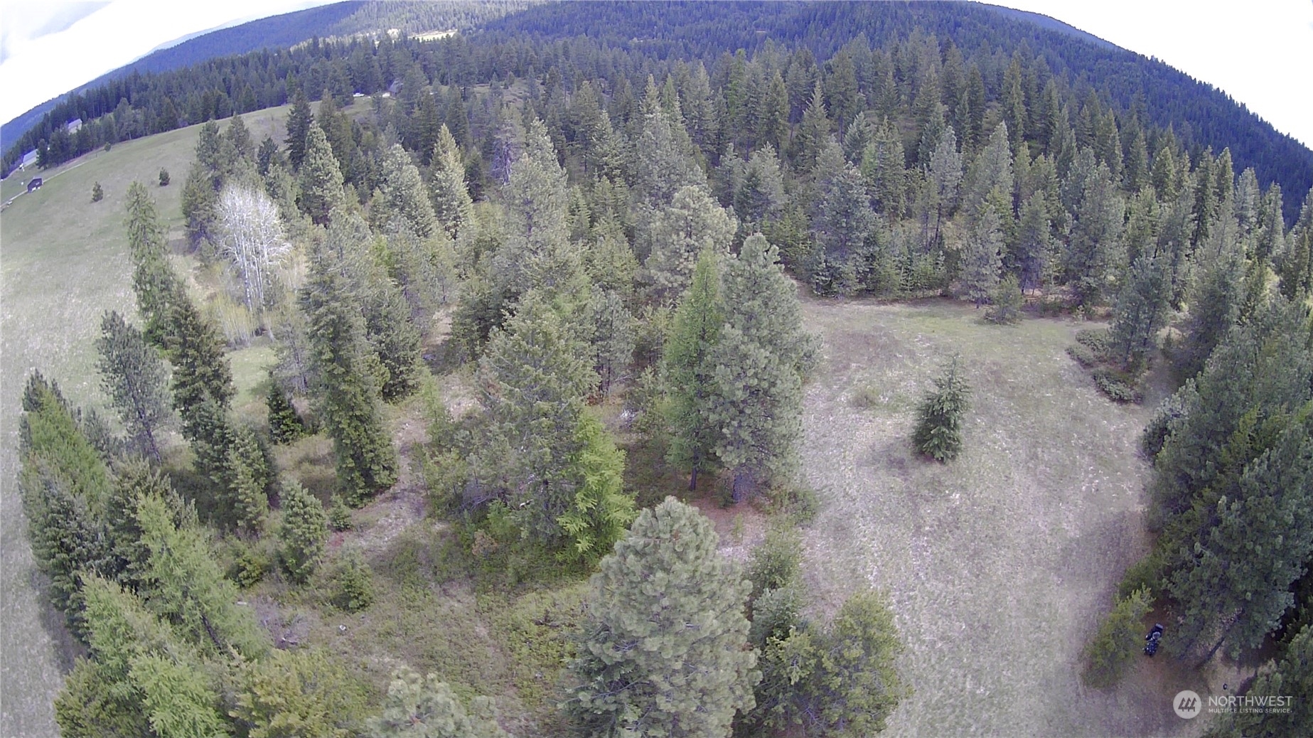 5099 M Allen Road Springdale, WA 99173 - Photo 32 of 38 a view of a dry yard with trees