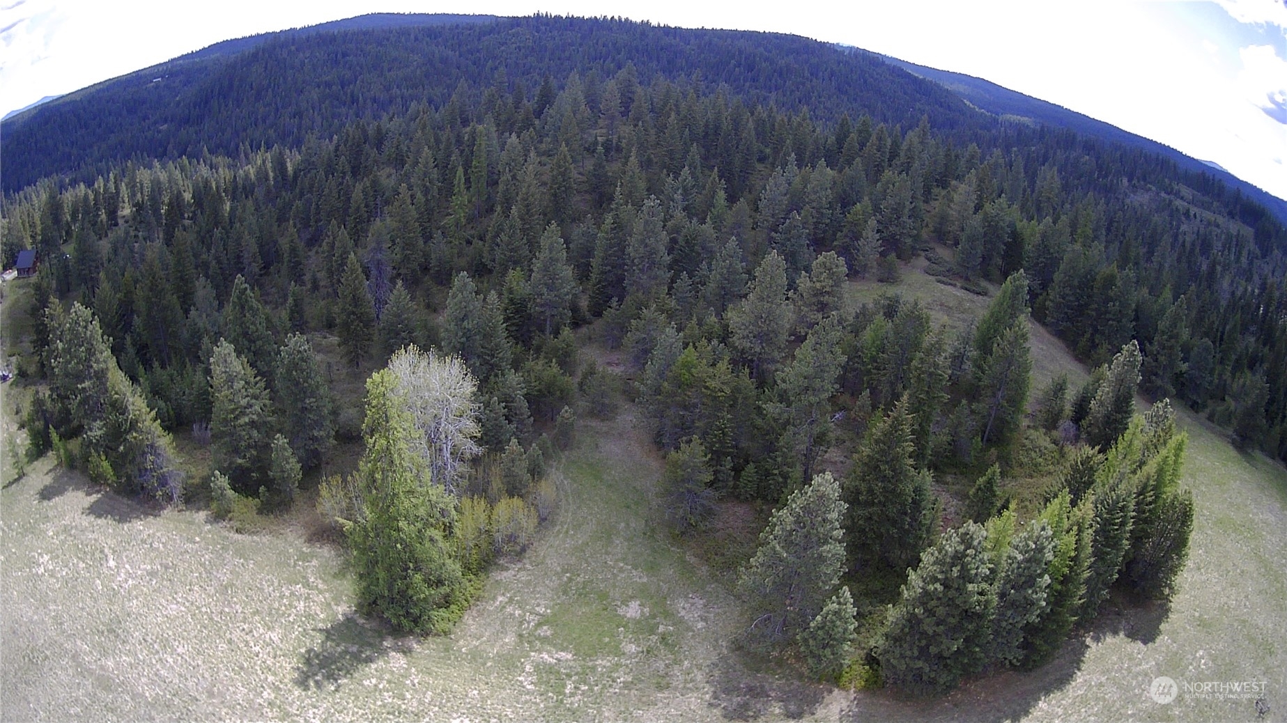 5099 M Allen Road Springdale, WA 99173 - Photo 34 of 38 a view of a lush green forest