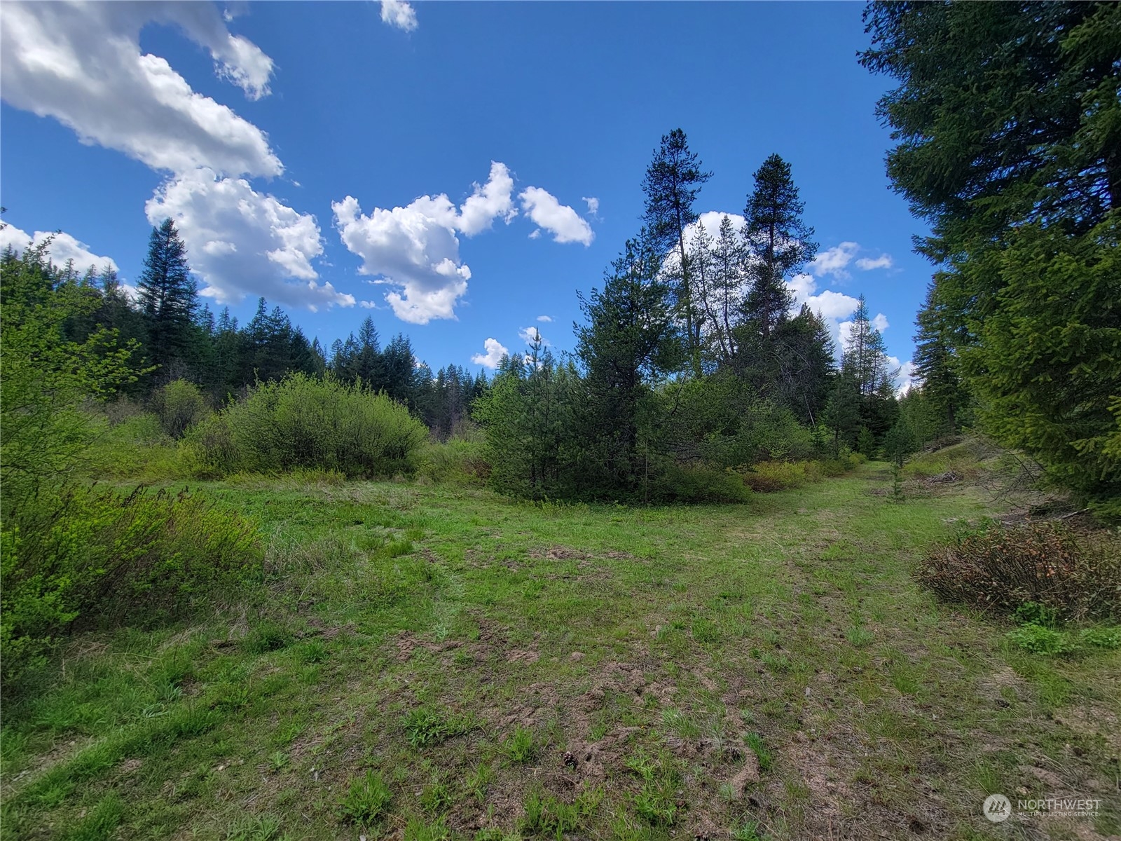 5099 M Allen Road Springdale, WA 99173 - Photo 5 of 38 a view of a yard in a yard
