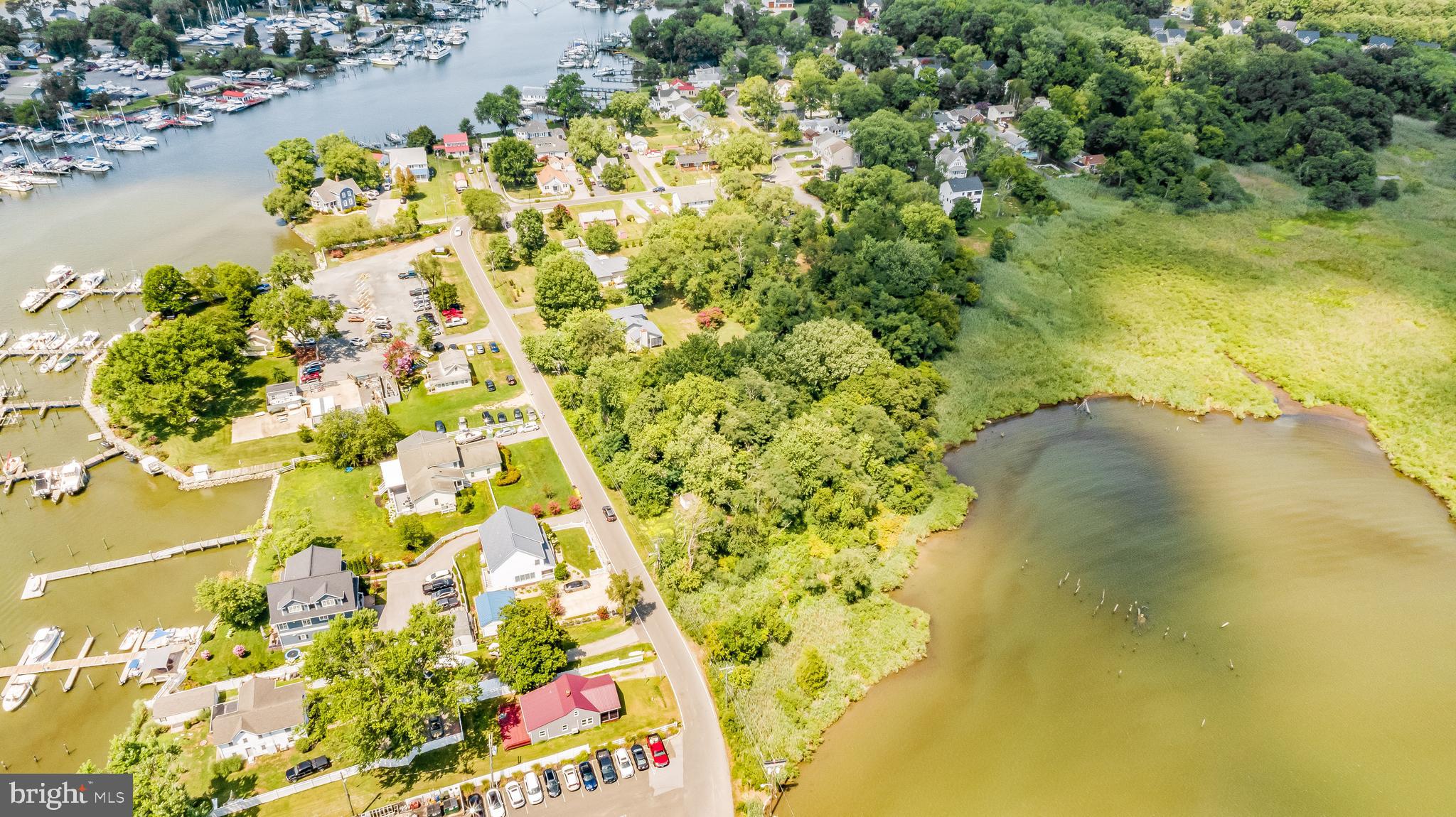 6157 Drum Point Road Deale, MD 20751 - Photo 13 of 30 Most of the Wooded Area is part of the property