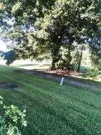 a view of yard with green space