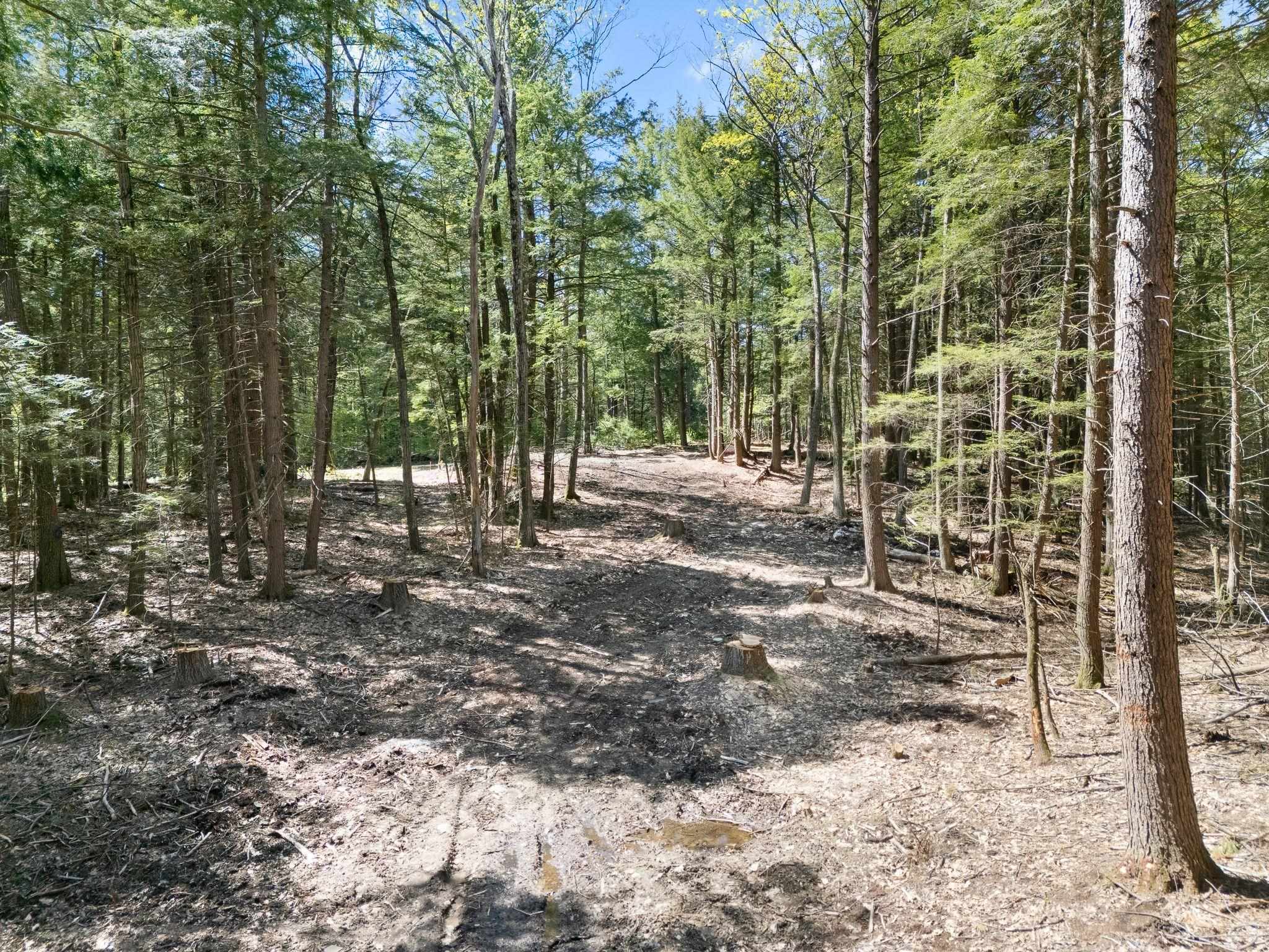 0 Old Ledge Road, Unit 2 Putney, VT 05346 - Photo 2 of 10