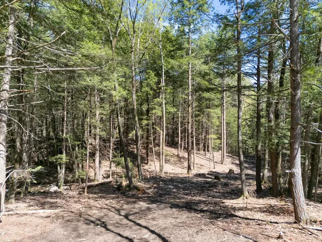 $84,500 | 0 Old Ledge Road, Unit 2, Putney, VT 05346