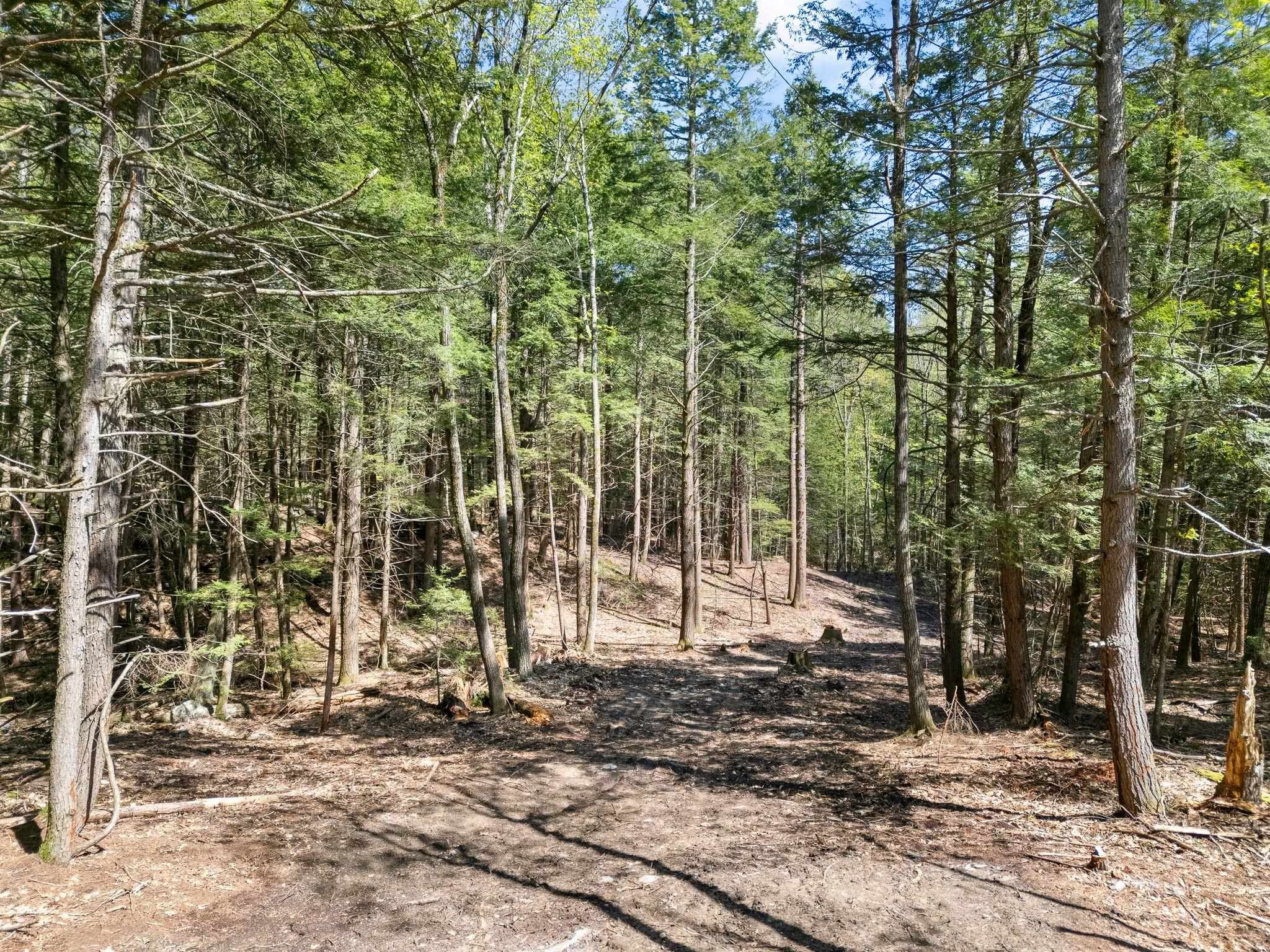 0 Old Ledge Road, Unit 2 Putney, VT 05346 - Photo 4 of 10