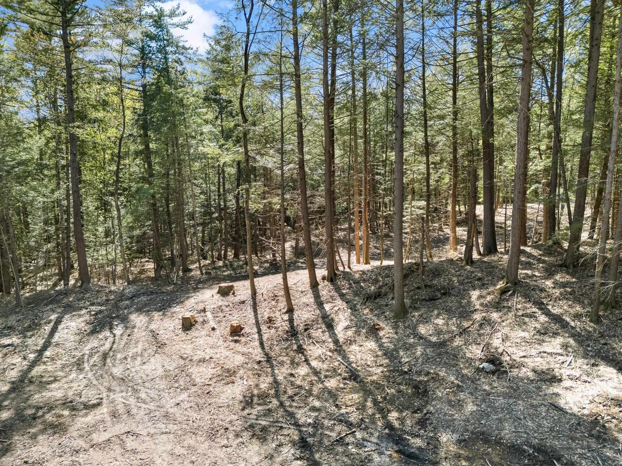 0 Old Ledge Road, Unit 2 Putney, VT 05346 - Photo 5 of 10