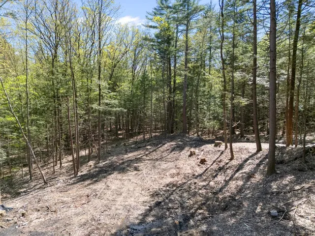 $84,500 | 0 Old Ledge Road, Unit 2, Putney, VT 05346