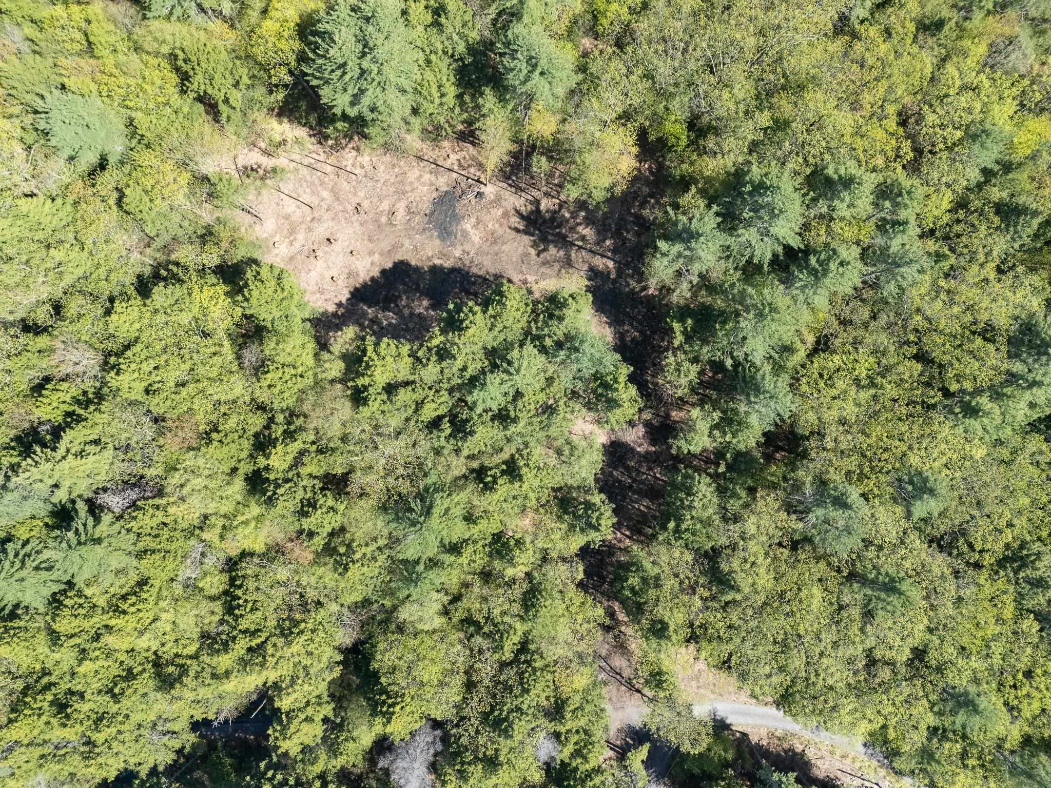 0 Old Ledge Road, Unit 2 Putney, VT 05346 - Photo 7 of 10