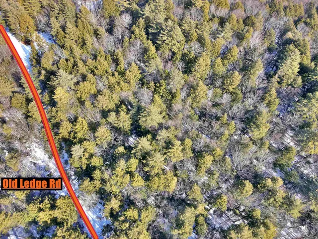 $84,500 | 0 Old Ledge Road, Unit 2, Putney, VT 05346