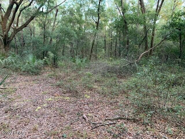 605 Mine Road Midway, FL 32343 - Photo 8 of 17 Gallery Image 8