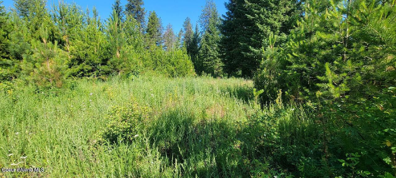 3 West Fedrick Loop Spirit Lake, ID 83869 - Photo 3 of 6 3