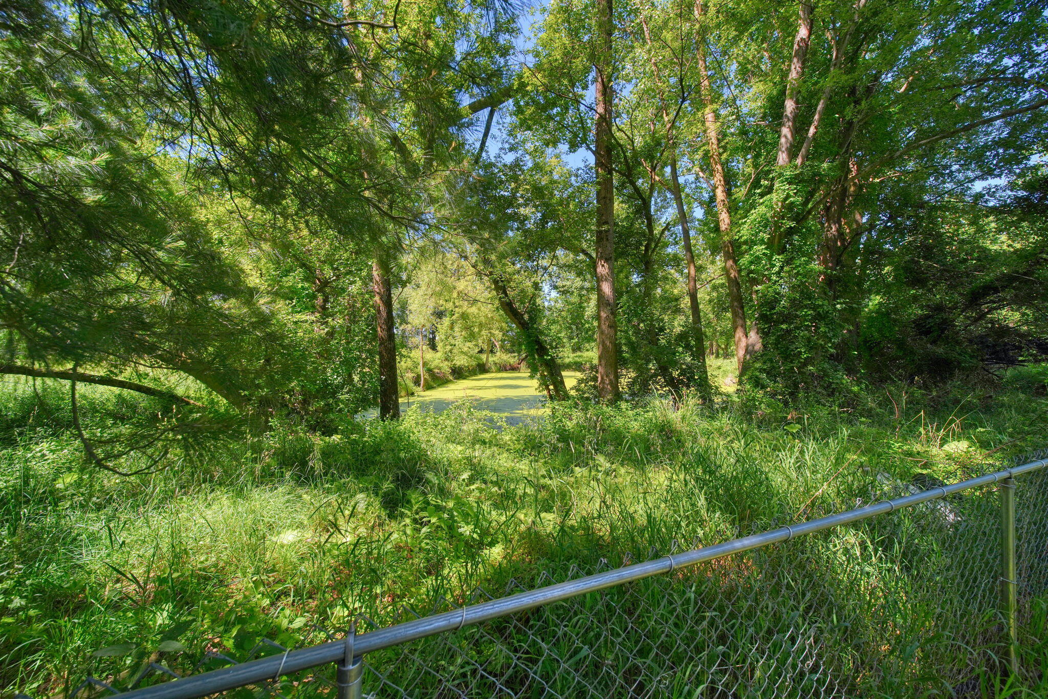 29260 Albion Road Albion, MI 49224 - Photo 50 of 54 47-web-or-mls-DSC06455_HDR